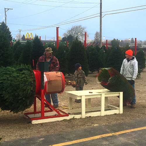 Christmas trees, poinsettias and festive holiday decor available at Tom Strain and Sons in Toledo, Ohio!